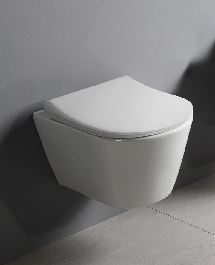 AVVA Hänge-WC mit Bidetbrause, Rimless, 35,5x53 cm, weiss